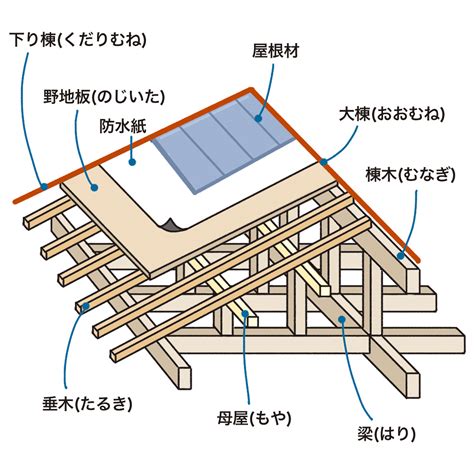 棟